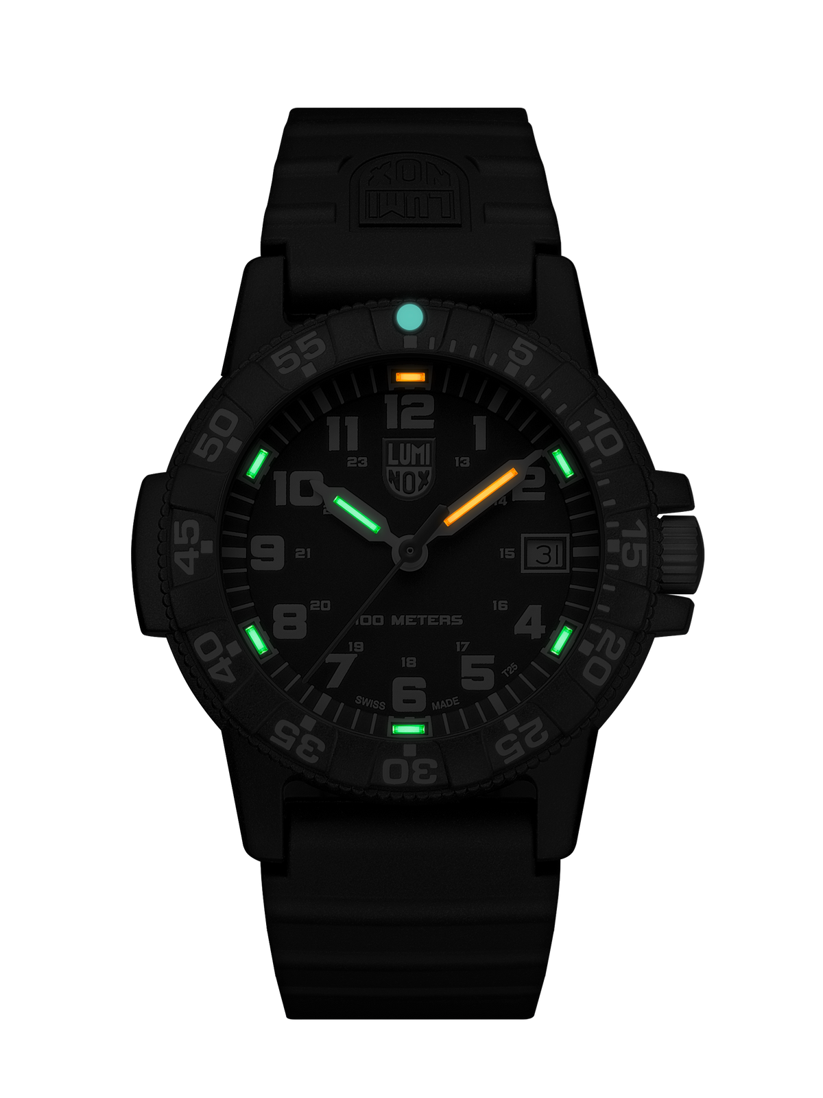 Leatherback Sea Turtle 0301.L