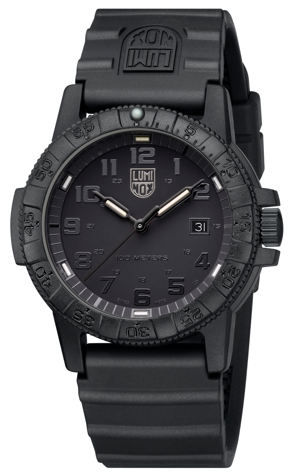Leatherback Sea Turtle Giant 0321.BO.L