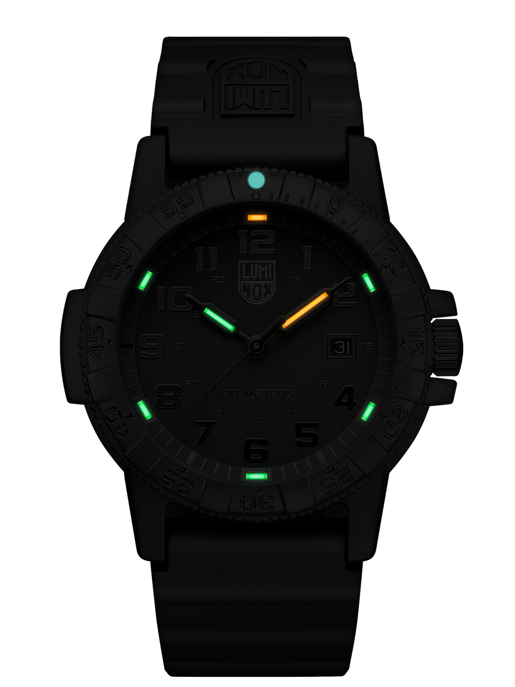Leatherback Sea Turtle Giant 0321.BO.L